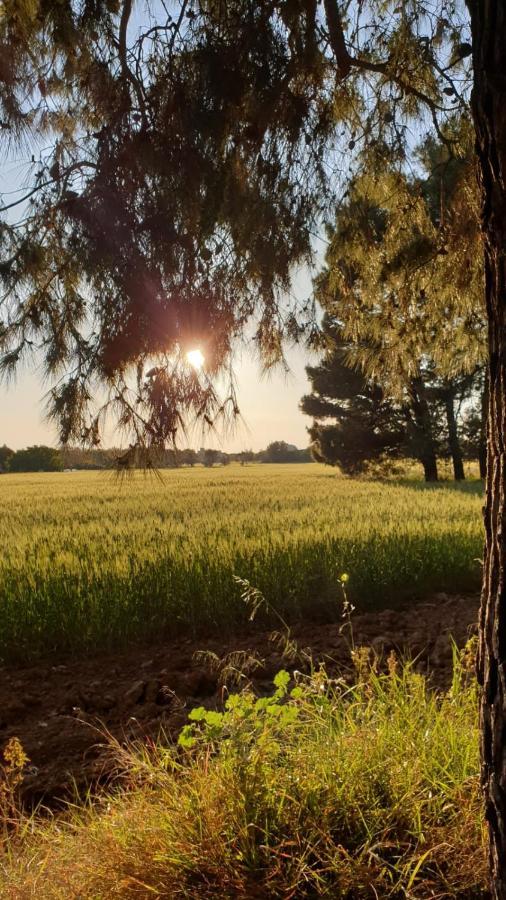 Masseria Vivi Il Salento Santa Caterina  Bagian luar foto