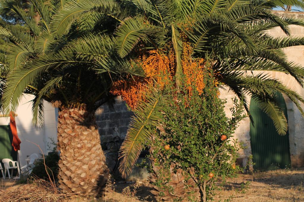 Masseria Vivi Il Salento Santa Caterina  Ruang foto