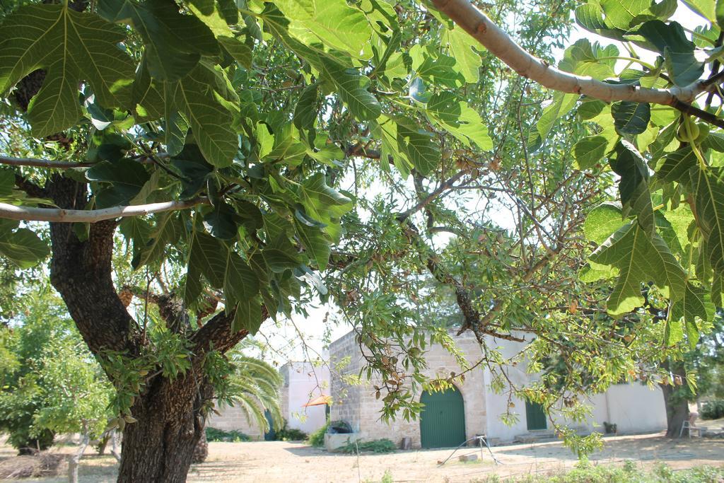 Masseria Vivi Il Salento Santa Caterina  Ruang foto