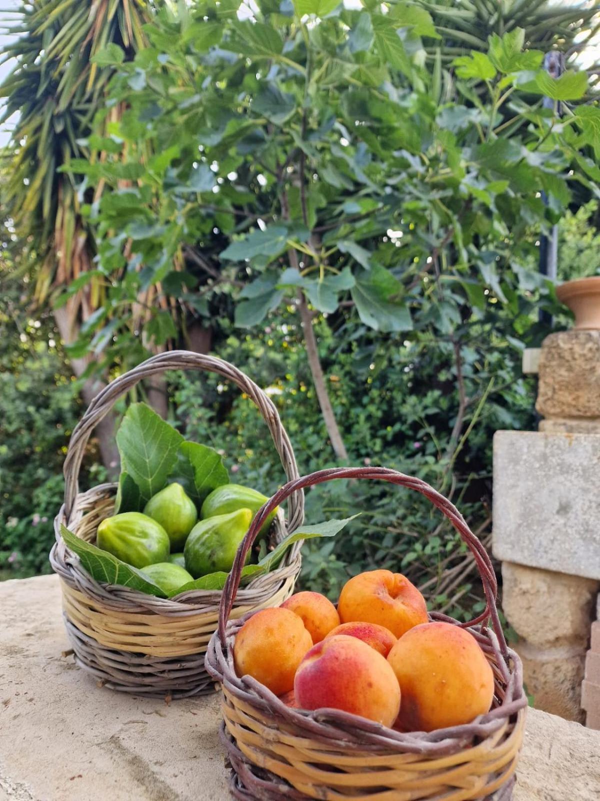 Masseria Vivi Il Salento Santa Caterina  Bagian luar foto