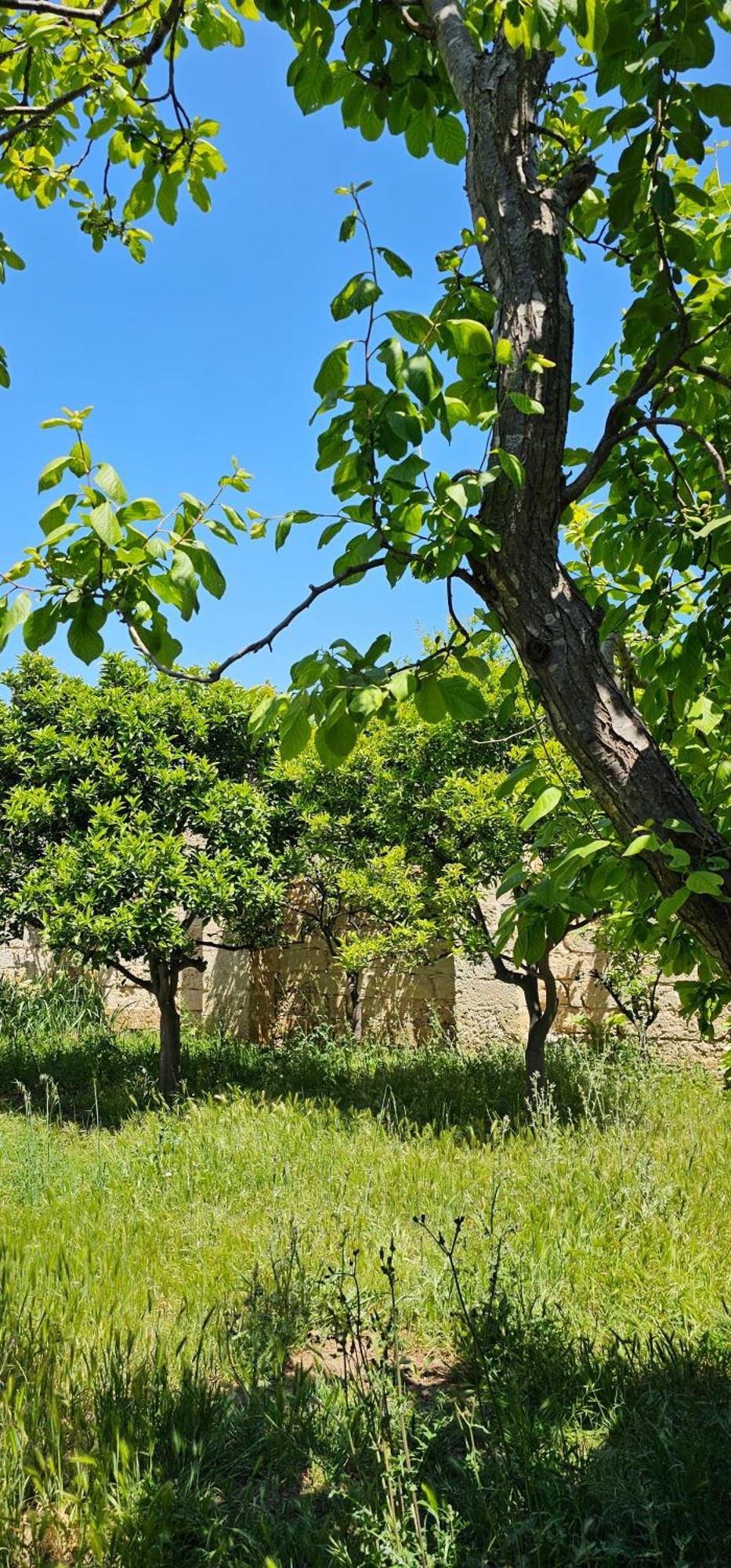 Masseria Vivi Il Salento Santa Caterina  Bagian luar foto
